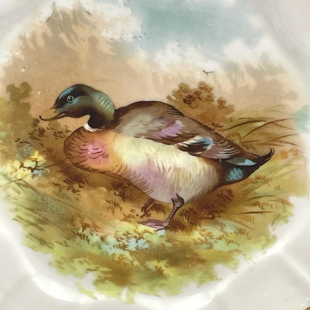 Antique 1920s‎ Silesia Germany Mallard Duck Porcelain Cabinet Plate 8